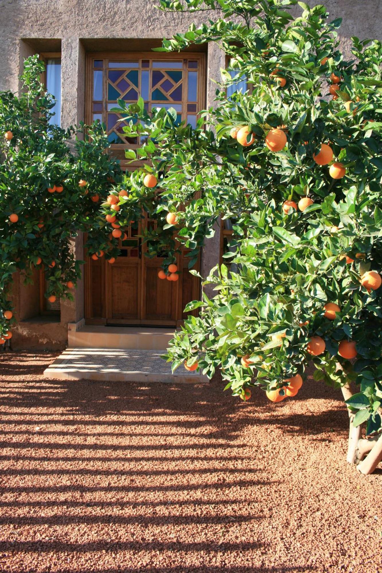 Casa Taos Ξενοδοχείο Douar Azib el goundafi Εξωτερικό φωτογραφία